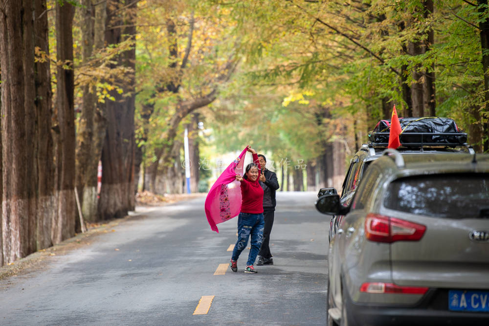 游客扎堆打卡秦岭赏秋网红公路，大妈躺地上“拿命拍照”，为了几个赞值吗？