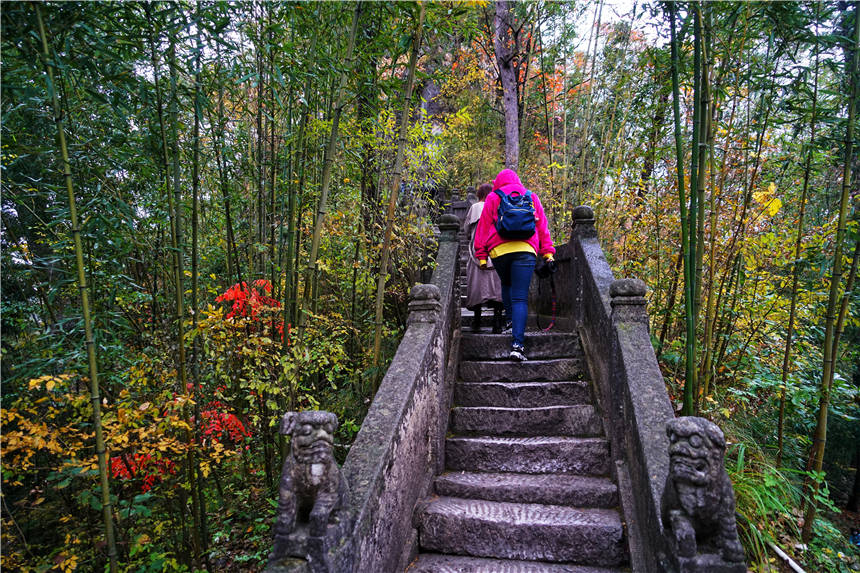 秦始皇|汉朝最传奇人物，曾刺杀秦始皇，被称为神仙国相 ，隐居陕西汉中