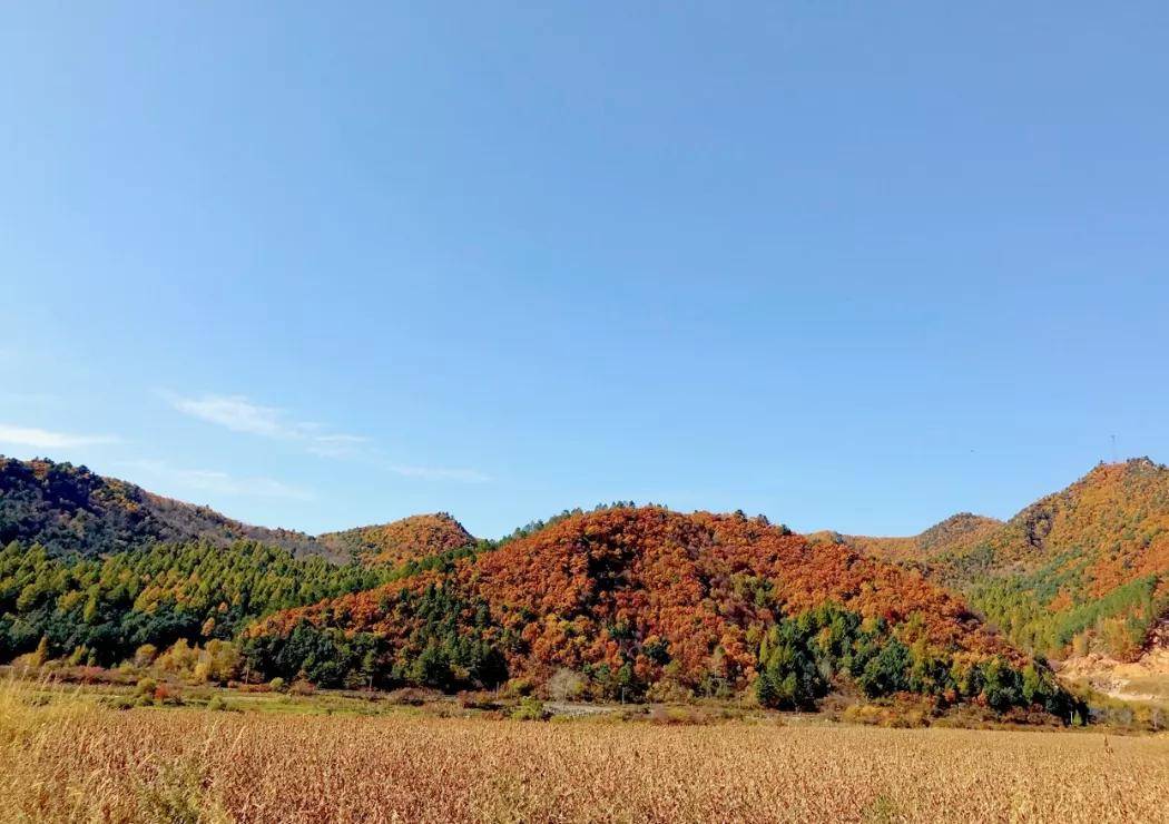 醉美五花山多彩大森林森林里的家在等你