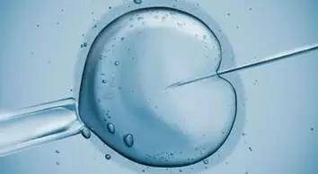 为什么有的卵子不能受精呢？受精障碍的原因是(图2)