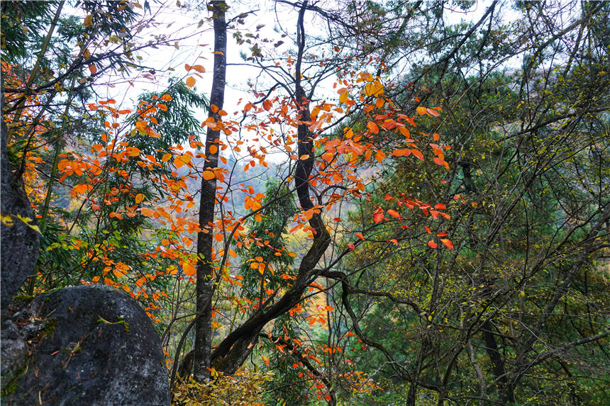 秦始皇|汉朝最传奇人物，曾刺杀秦始皇，被称为神仙国相 ，隐居陕西汉中