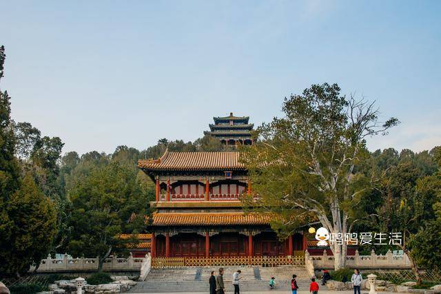 只要2元，不进故宫便能拍全景，还有古树黄叶超美，值回票价！_北京