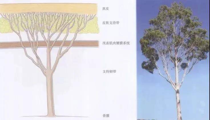 老脸|金晨谈恋爱也太尴尬了！节目组卖力撮合个寂寞……这张不老脸就能胡作非为吗？