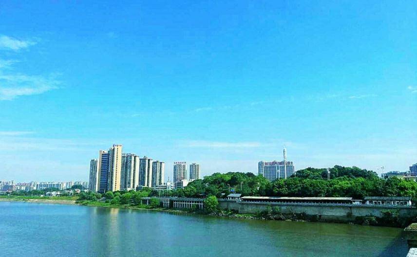 石岩GDP_石岩姜(2)