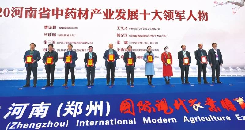 河南2020年gdp十强县_河南地图(2)