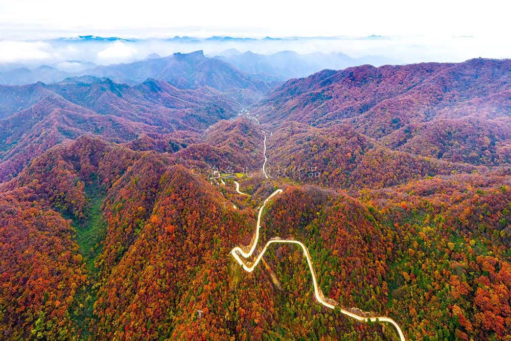探寻秦岭赏秋秘境，跟着这条自驾线路走，告诉你留坝的秋天有多美