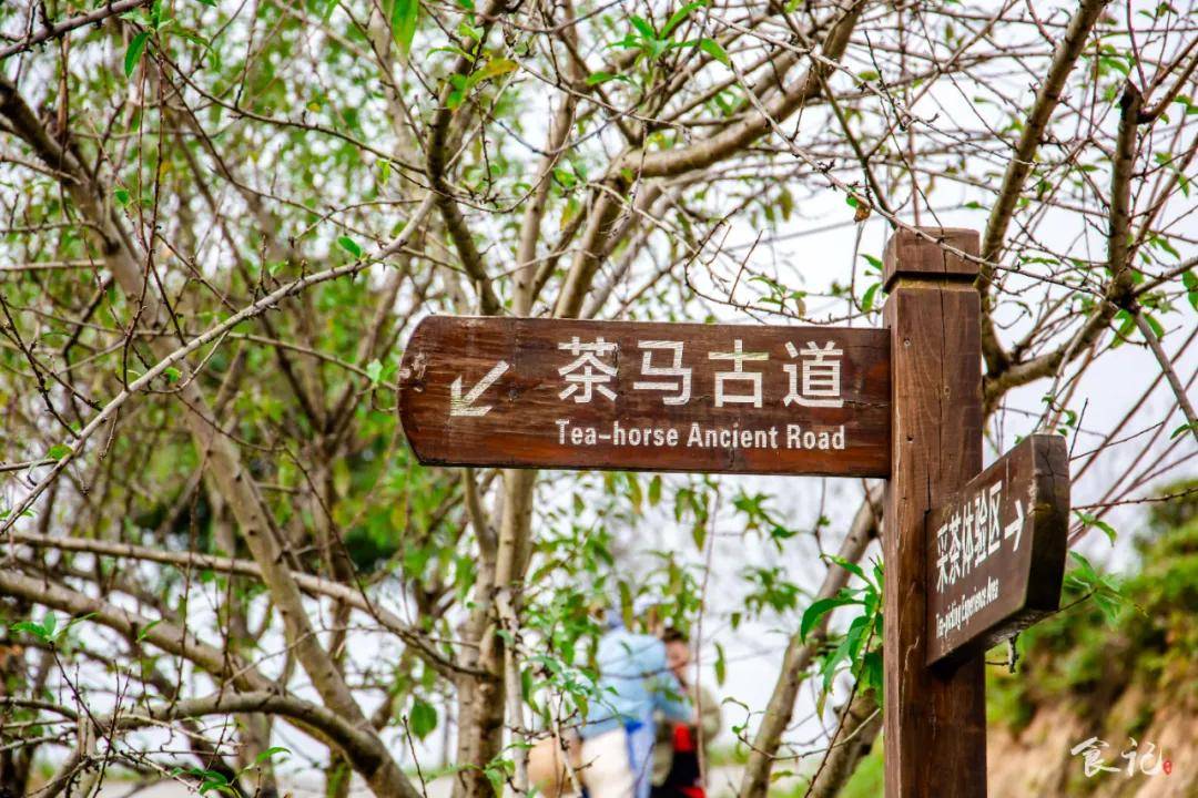 谷城县有多少人口_谷城县樱花谷(3)