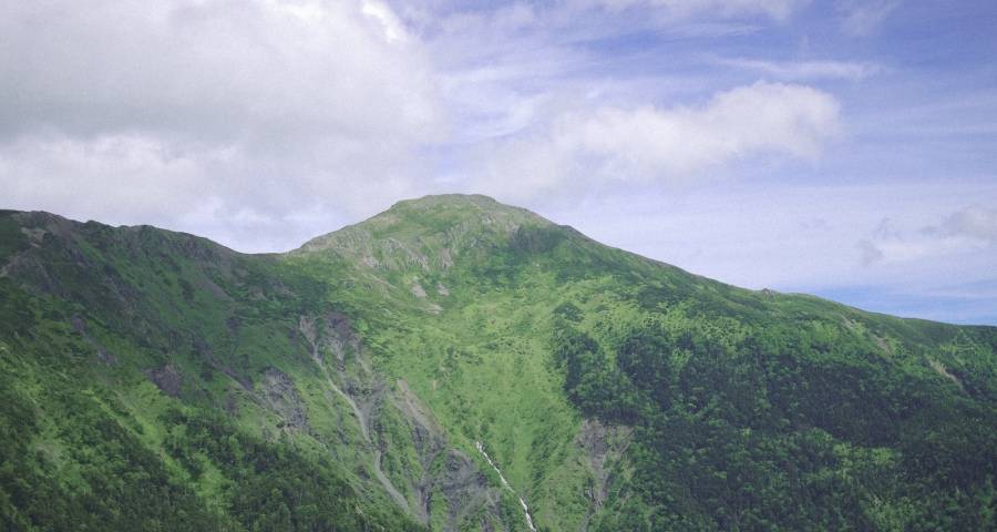 家电企业保持战略定力至关重要！-家电圈官网