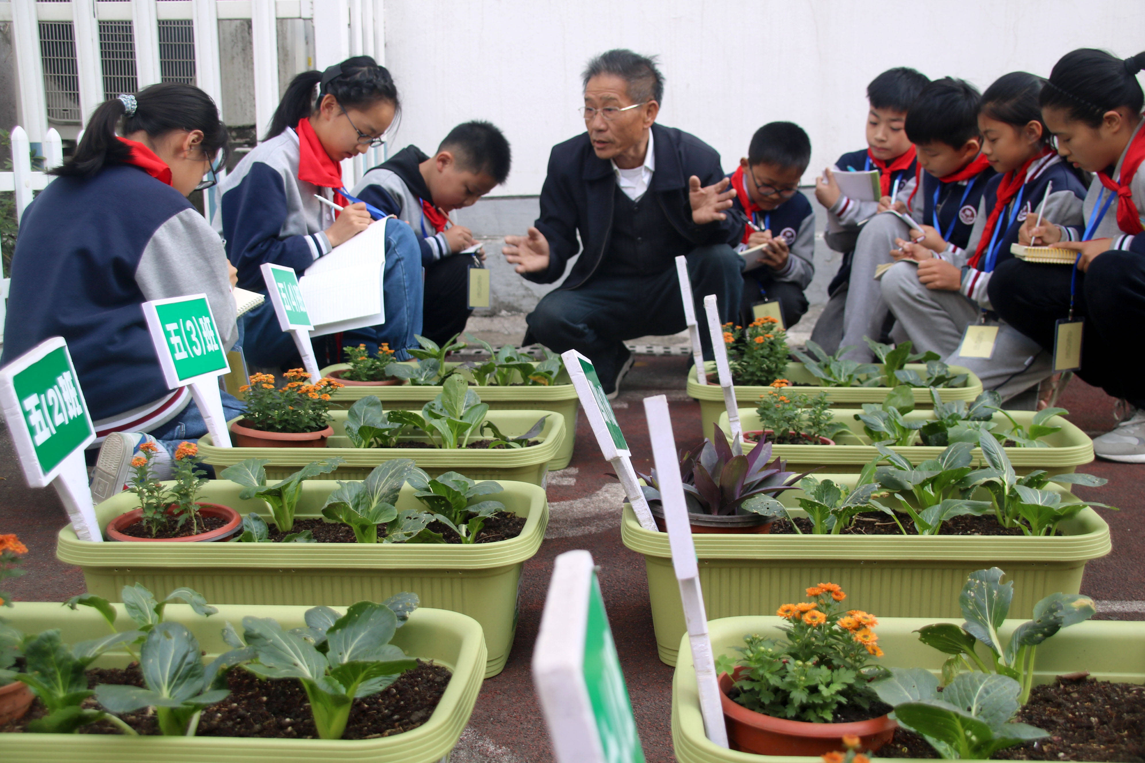 苏州市大儒中心小学校开展校园科技节系列活动种植的乐趣