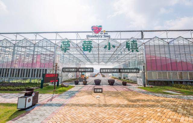 vr看基地:建德草莓小镇采摘基地_手机搜狐网