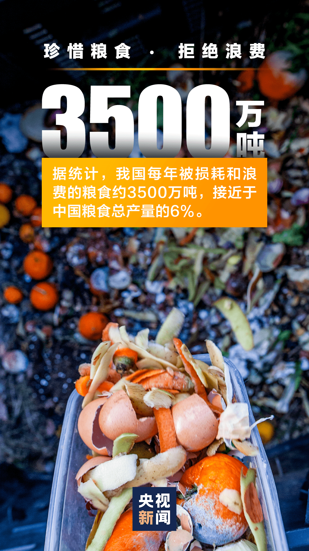 人均粮食占有量_节约粮食手抄报(2)