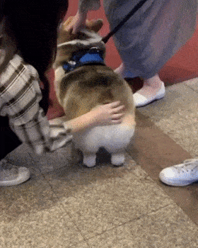 280_350 竖版 竖屏