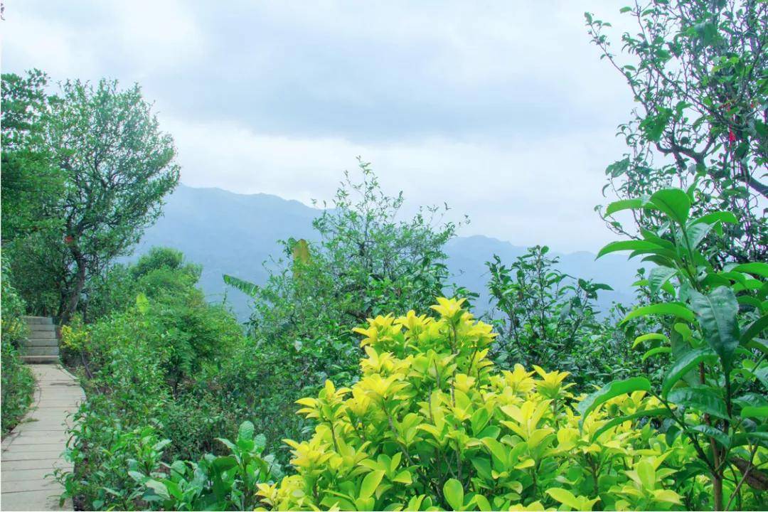 佤族人口_佤族服饰