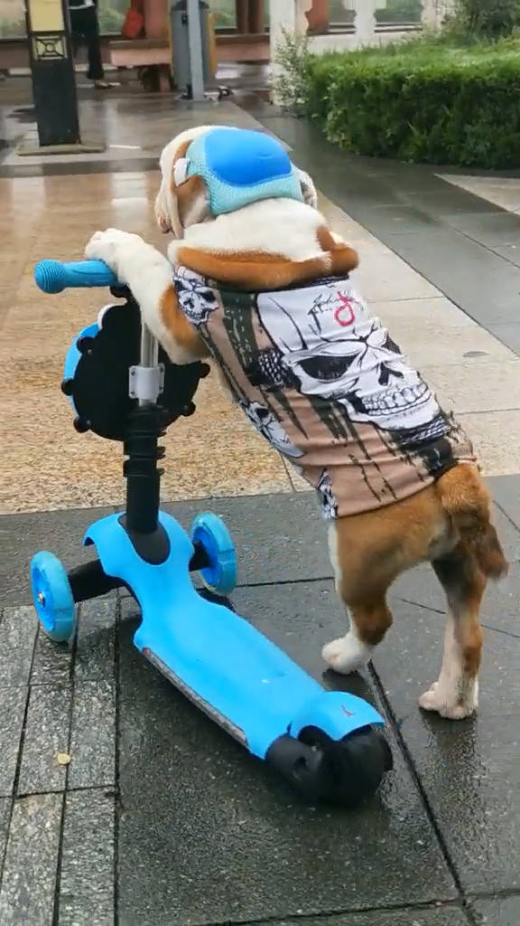 4b4bc572e0874f89b87e3af39c706e6e.jpeg