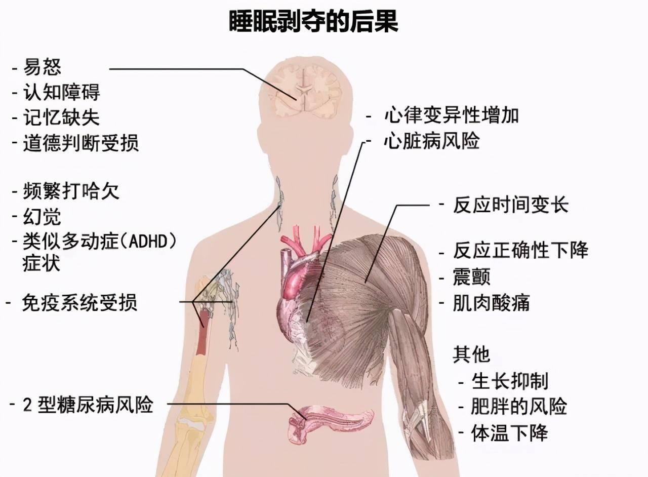 人体|连续熬夜3晚却突发耳聋：熬夜这5宗罪，有多少人能伤得起？