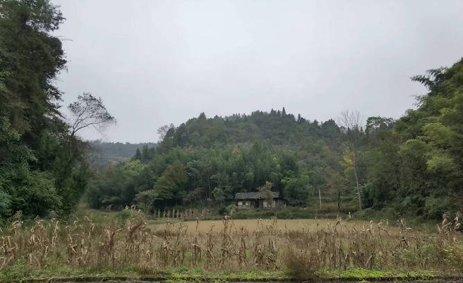 风水案例:库柜二星专主富,居于水口更有准.李双林
