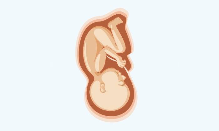 怀胎十月胎儿发育全过程图解,快看看宝宝长成什么样了