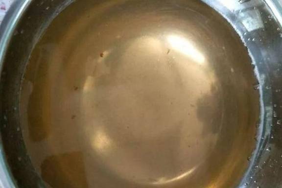 自制养花杀菌水,7天浇一勺,花不生虫不烂根