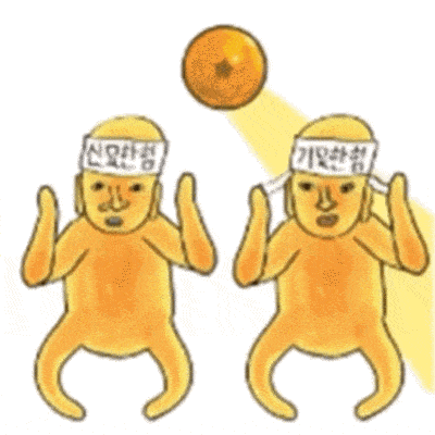 体验巧克力当水喝的新西兰巧克力工厂,你也想当一回查理吗?