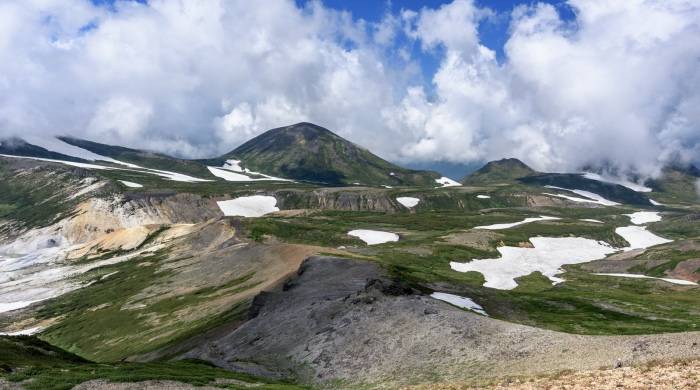 家电双十一的新玩法：明星由品牌代言人变成产品带货官-家电圈官网