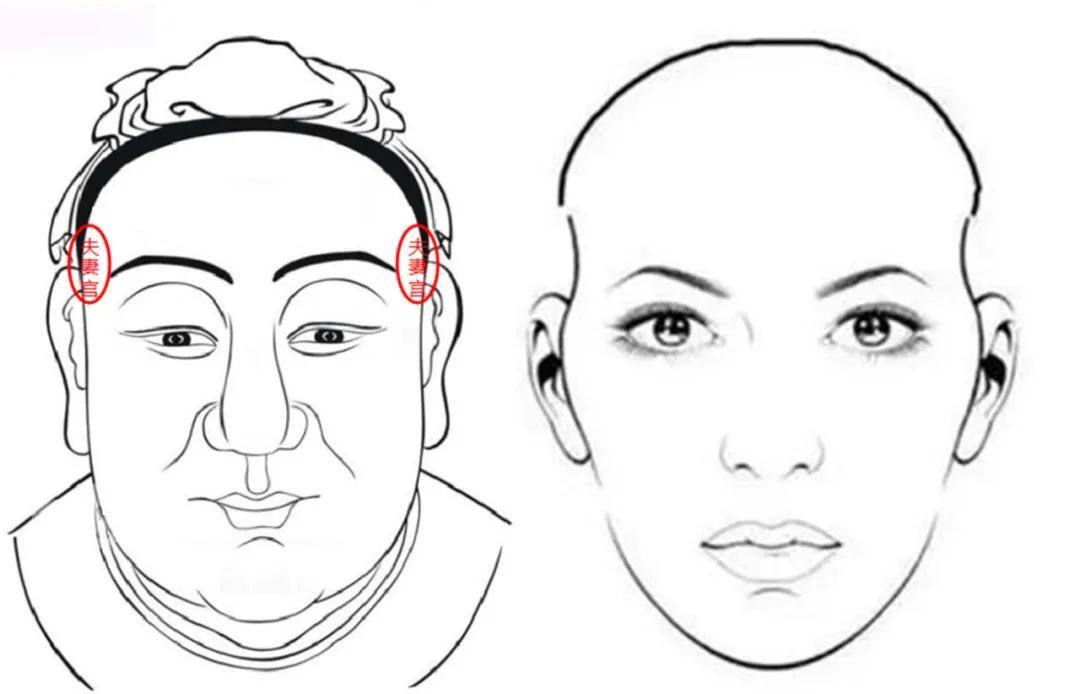 如图所示,面部轮廓中最容易产生凹陷的太阳穴,对应着面部十二宫中