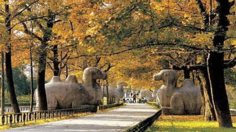 五月南京旅游景点[5月南京旅游景点推荐]