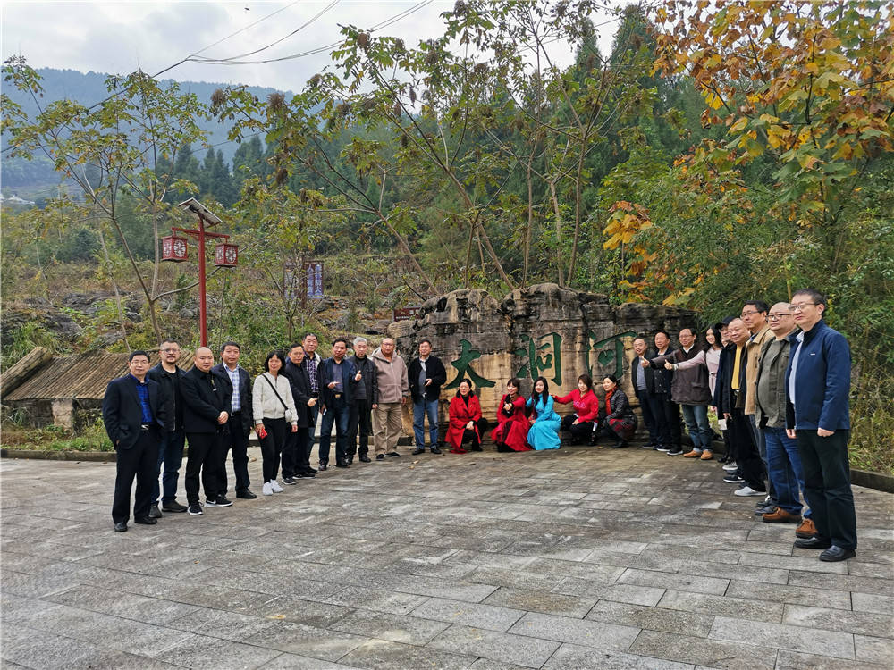 武隆区2020年gdp_武隆区凤来新城规划图(3)