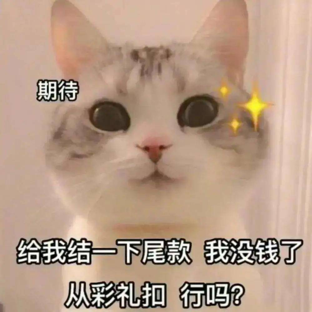 尾款人口号_尾款人图片