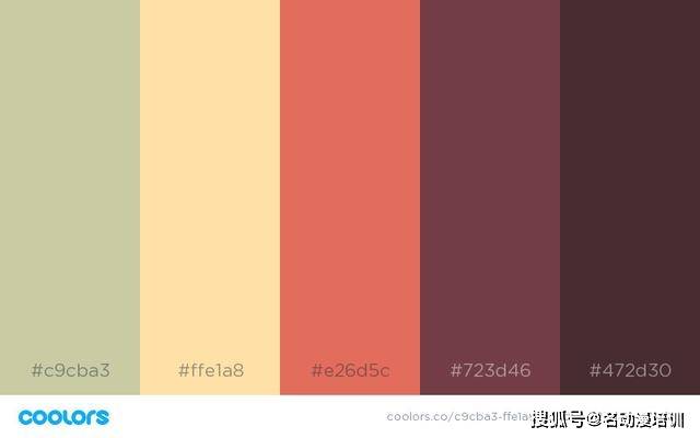 颜色|初学者如何快速找到自己的色感