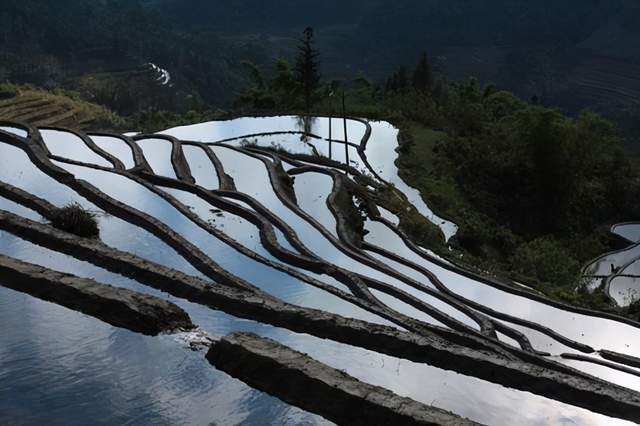 为什么叫元阳梯田 c0059ebbaed44675a68cf2ecf4634e49.jpeg