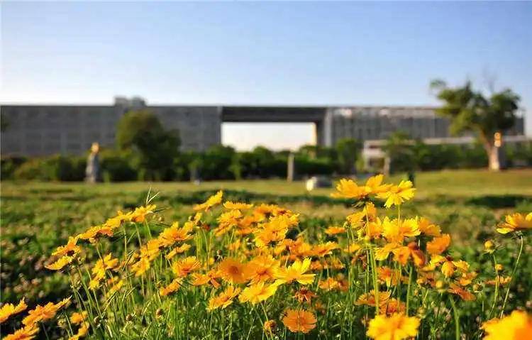 左家垅|大学也有“外号”？看哪所大学能凭借“绰号”笑傲江湖！