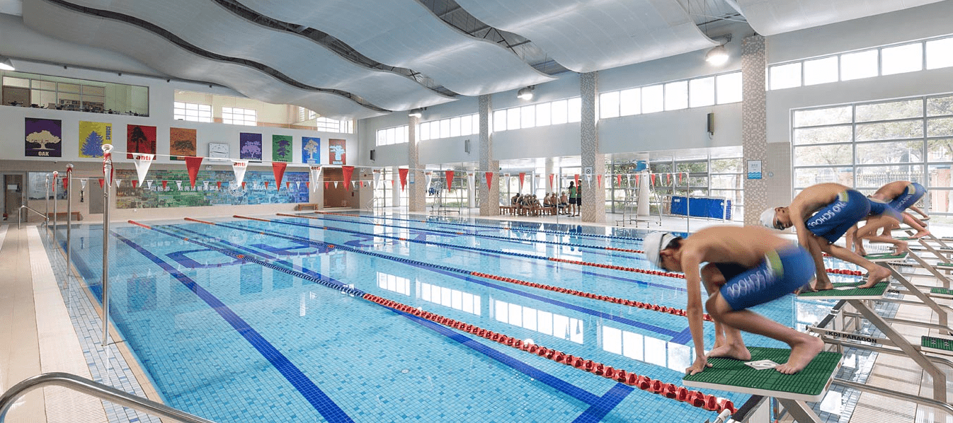 学校游泳池水质改造,水质轻松达标,给学生带来更健康的游泳体验