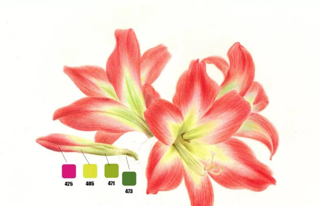 【推荐】彩铅花卉画详细教程图解|彩铅花卉手绘图片 简单步骤
