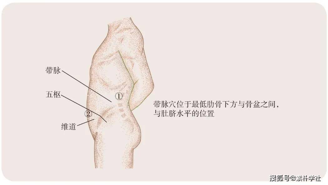 带脉循行图