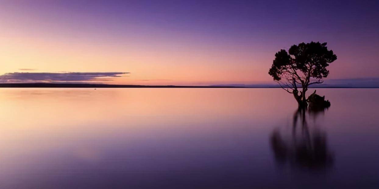 院校|这五所大学毕业后年薪最高80万！比985受欢迎！