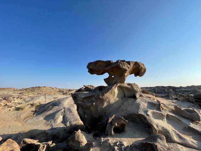 iphone 12promax返回桌面掉帧 9a92ee55b797449681f79896a013e30b.jpeg