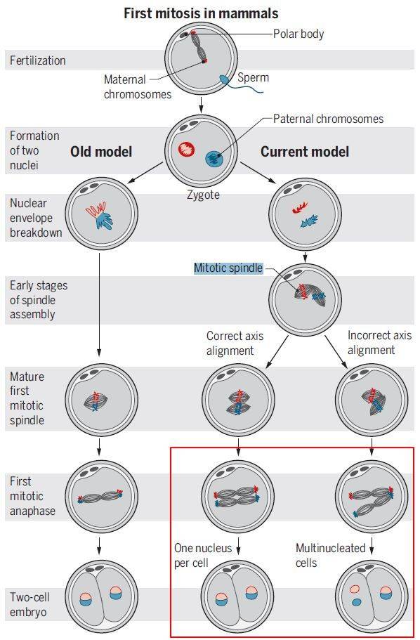2020潍坊各县市gdp_2020潍坊风筝节图片(3)