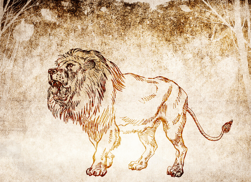 fe41b15cd20d4e20b1dbc71c46c7417e.png