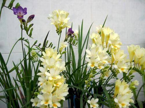 d61c653919d84f03b07ad6a376f364ac.jpeg