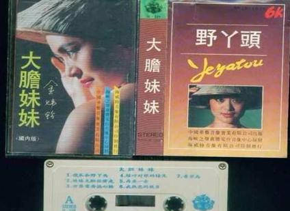 曾红过毛阿敏,破产被亲弟打成脑震荡,62岁靠做保姆养女儿