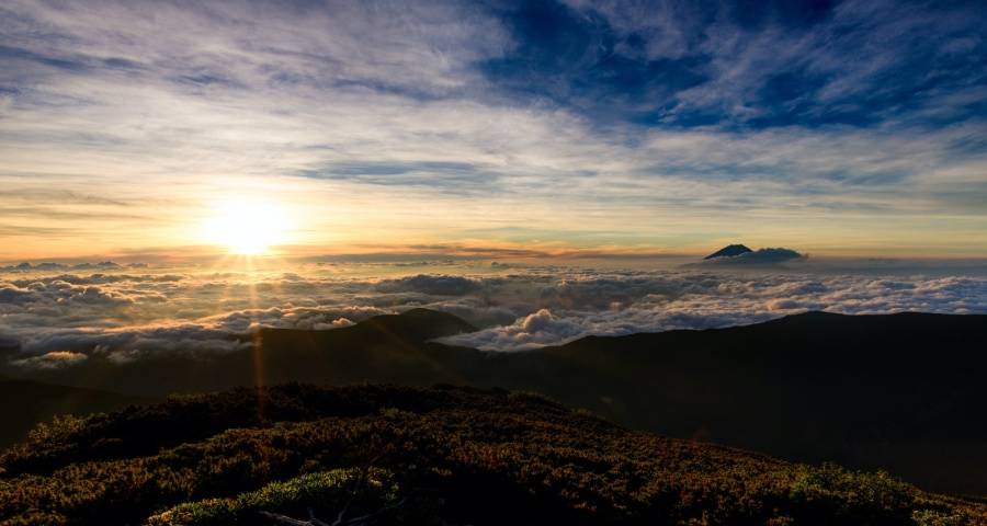 将目的与手段混为一谈让家电业破局无门-家电圈官网