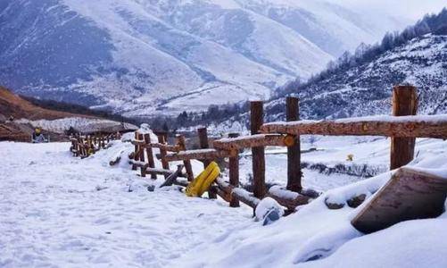 【去哪儿网：新疆、河北、吉林成为平台上最热滑雪目的地】