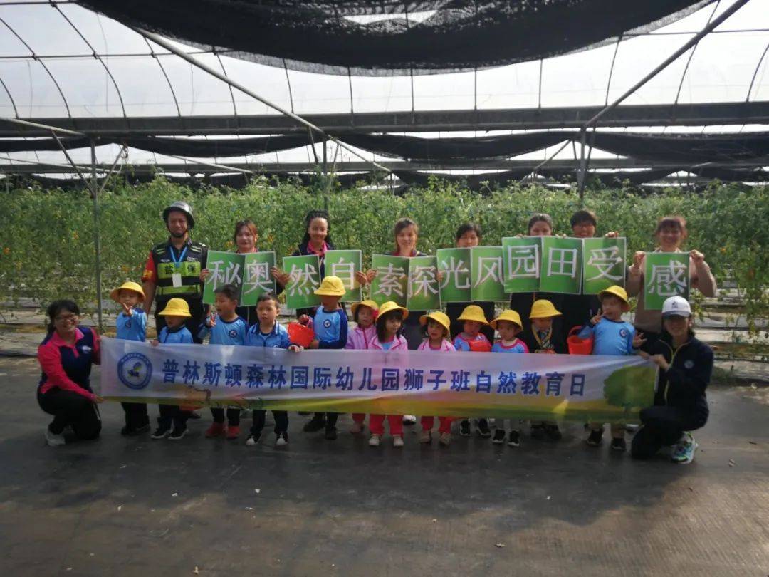 北京 普林斯顿国际幼儿园_普林斯顿森林国际幼儿园草莓采摘_自然教育课程采摘活动