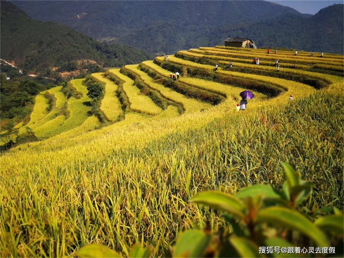 广西博白各镇gdp_广西博白扣肉粉图片(2)