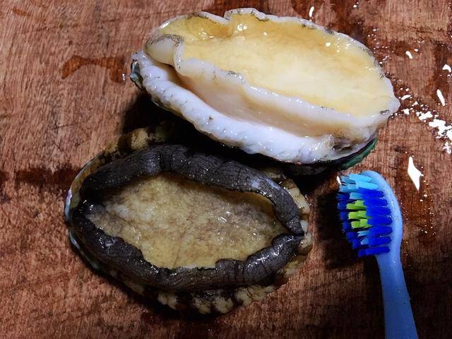 2,接着是用牙刷将鲍鱼周围的黑膜刷干净,再继续用清水冲洗干净,所以