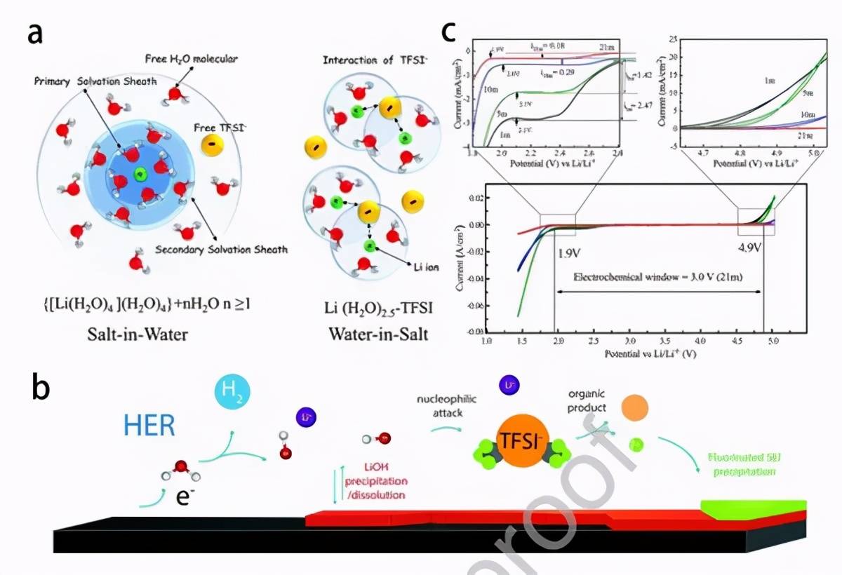 什么是电解质水含量高 723206a1be224ca5a3af4444961f5dbf.jpeg