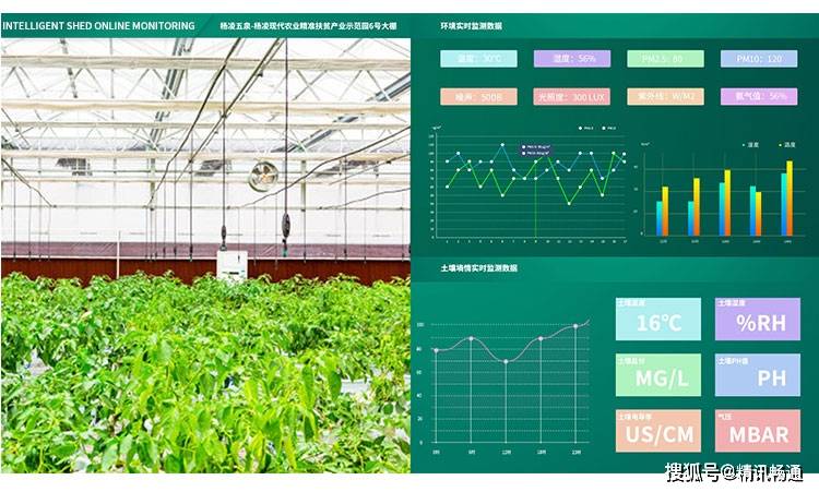 管理智能化,通过电脑,手机实现对温室大棚种植管理智能化调温,精细化
