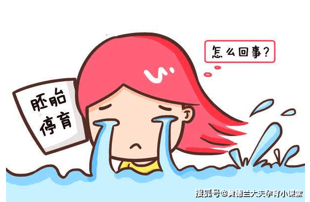 几个月会胎停育 02c72f86789b46b8afe5f598ac57f8b6.png
