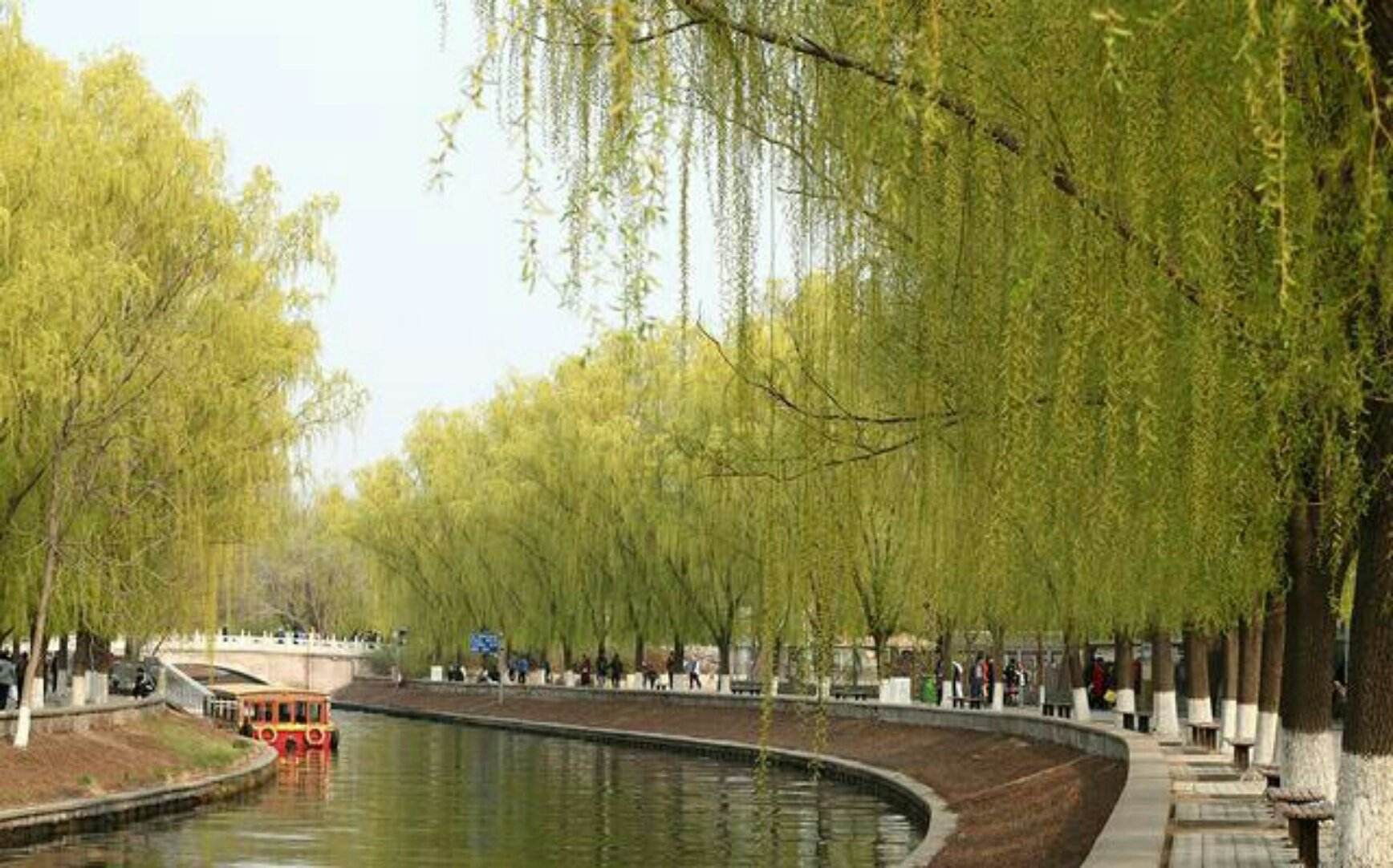 柘城县gdp_柘城县地图(3)