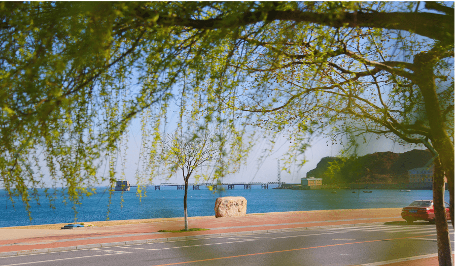 真相|2020年医科大学录取分“暴涨”？真相：其实我们“跌得”更多！